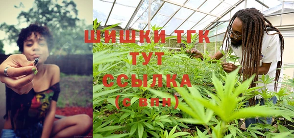 прущие крисы Каменка