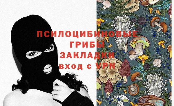 a pvp Каменногорск