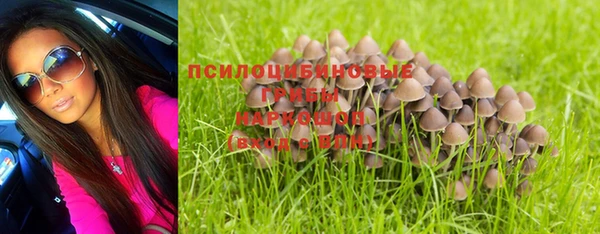 прущие крисы Каменка