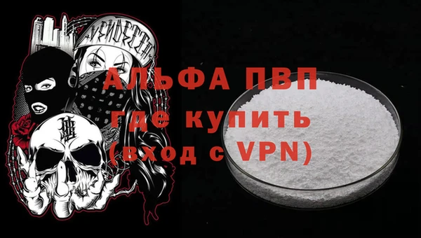 a pvp Каменногорск