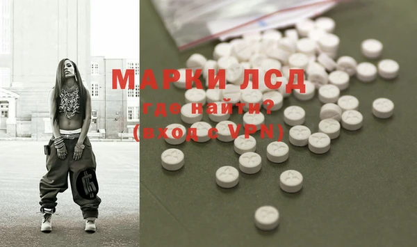 a pvp Каменногорск