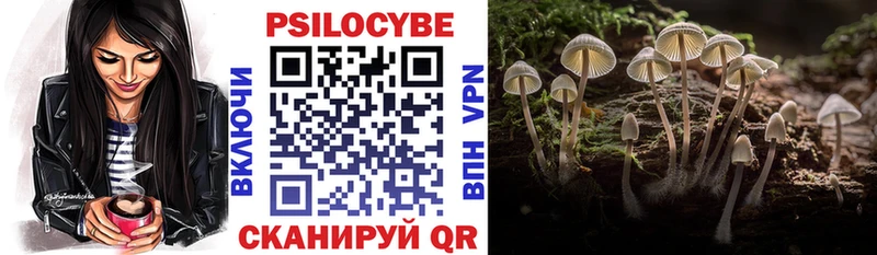 Купить  Ефремов  Галлюциногенные грибы Magic Shrooms 